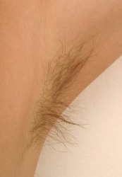 Hairy vagina
