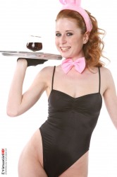 Sexy waitress hare
