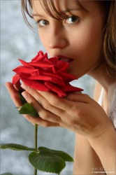 Alisa Rose Petals